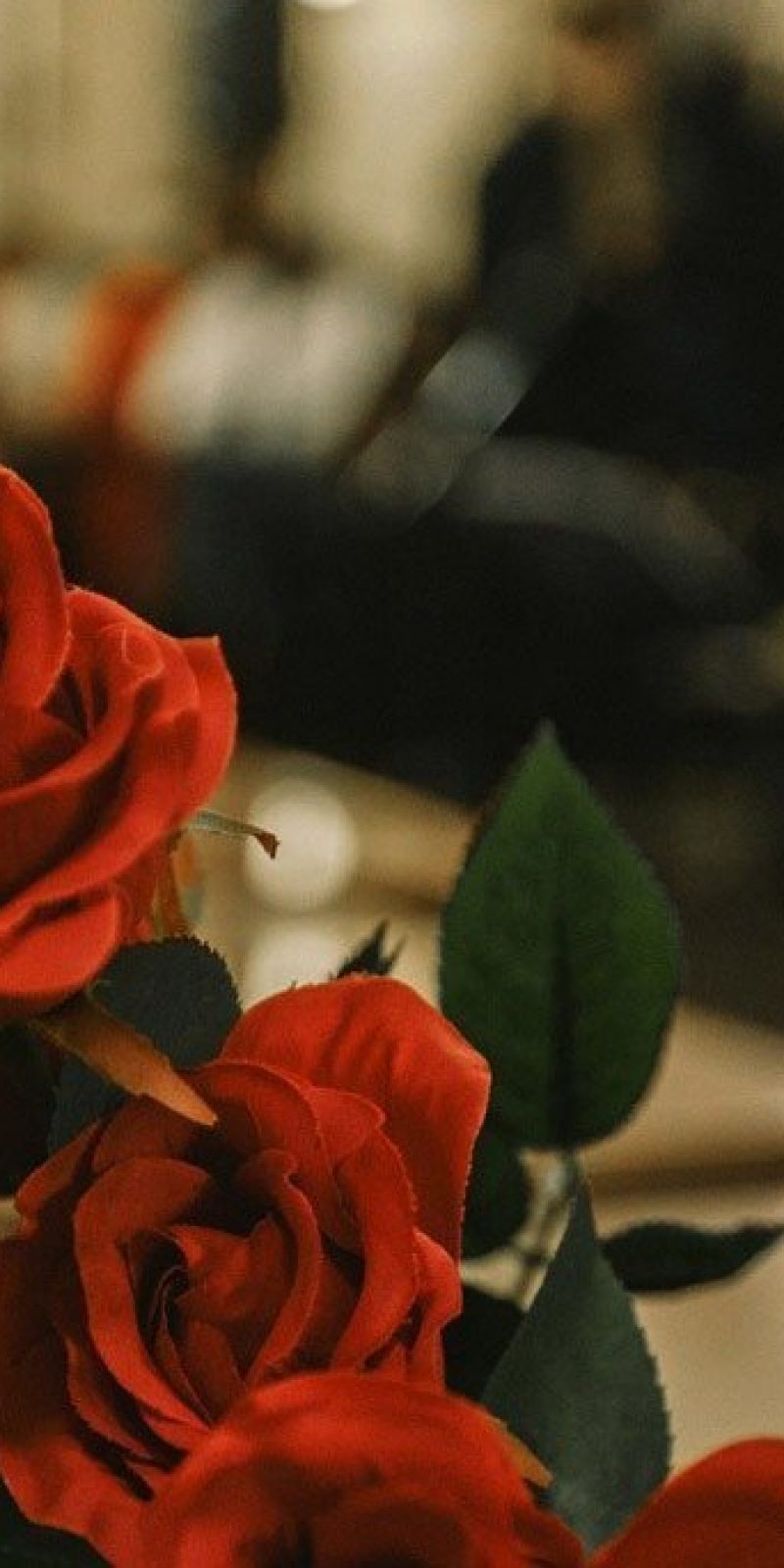 marzo 14 giorno di San Valentino maschile grande nero peloso micio porno