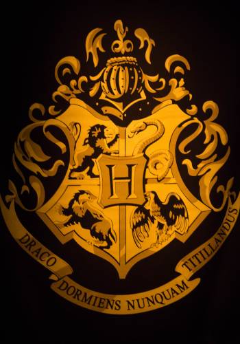 Harry Potter: what a magic exhibition!